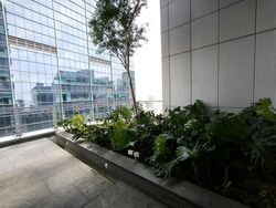 Sbf Center (D1), Office #558427581